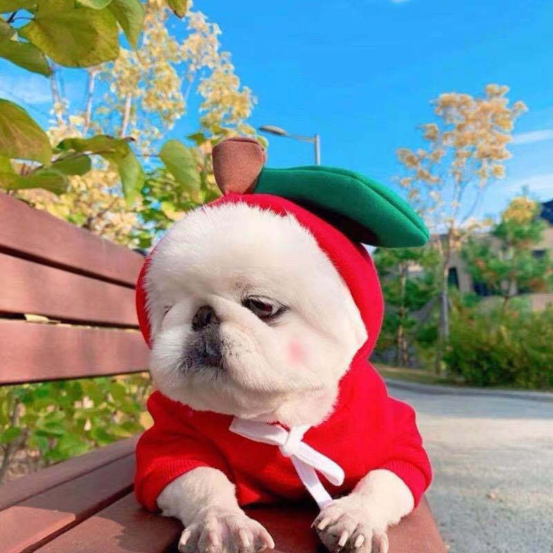 Cute Fruit Dog Hoodie - Warm Winter Fleece Pet Clothes