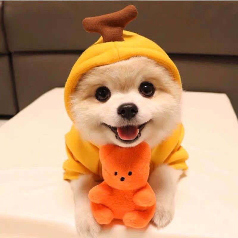 Cute Fruit Dog Hoodie - Warm Winter Fleece Pet Clothes