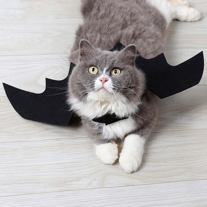 Halloween Bat Wings Harness Costume for Cats & Dogs
