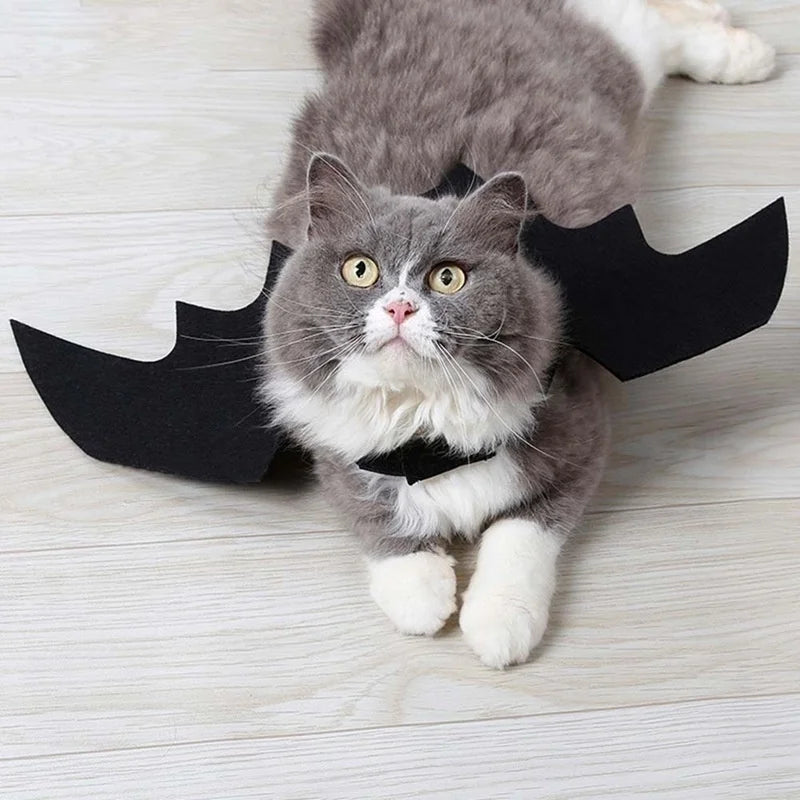 Halloween Bat Wings Harness Costume for Cats & Dogs