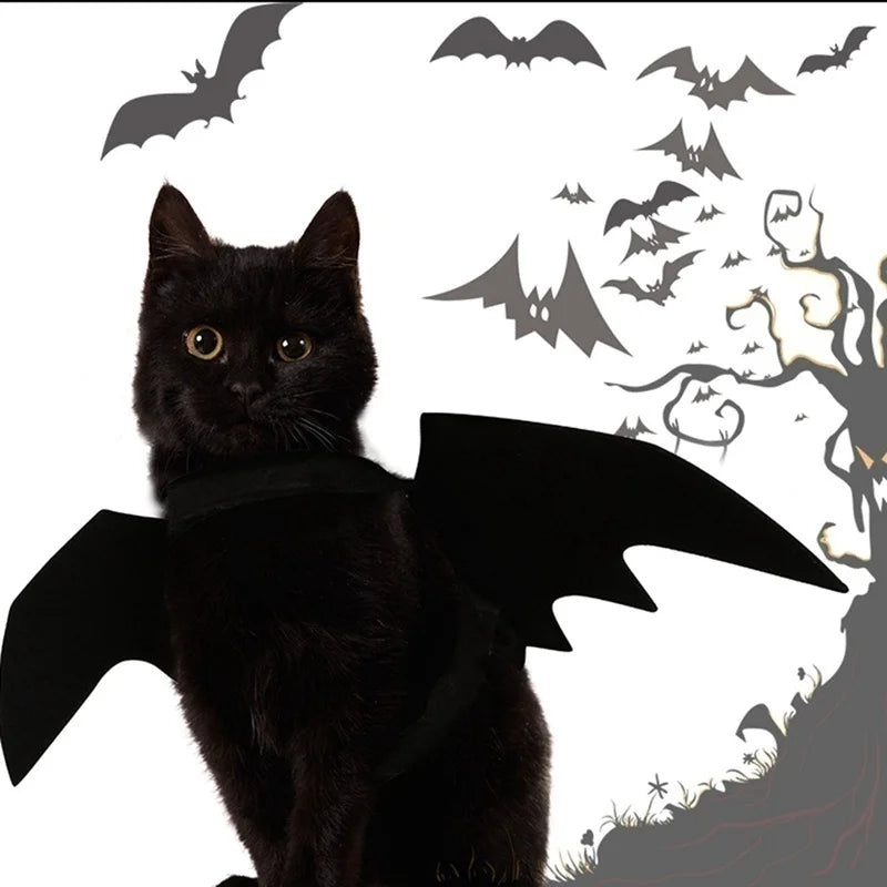 Halloween Bat Wings Harness Costume for Cats & Dogs