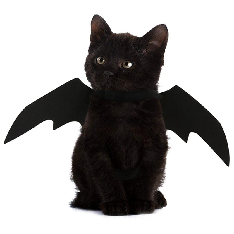 Halloween Bat Wings Harness Costume for Cats & Dogs