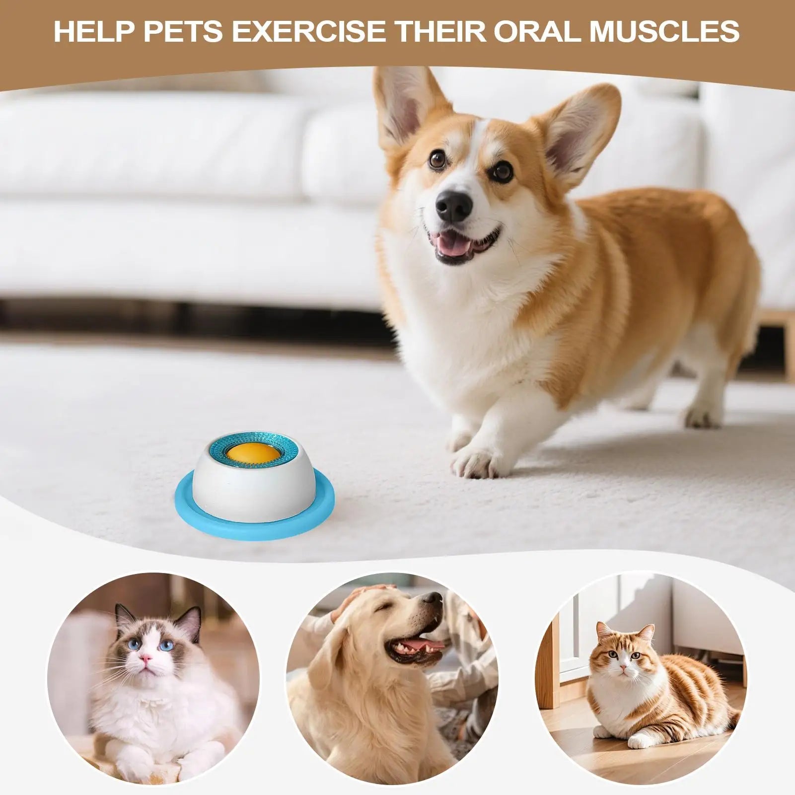 Interactive Dog Puzzle Toy | Slow Feeder Treat Dispenser