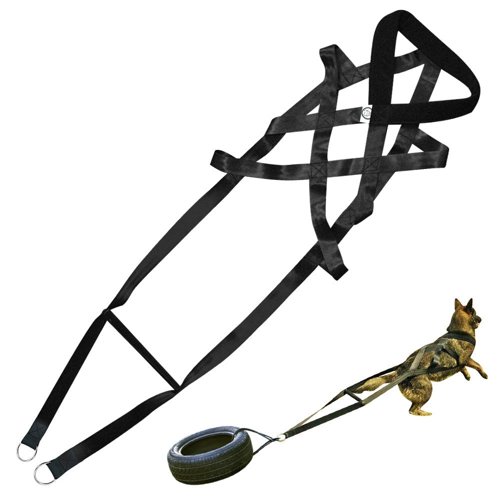 Heavy-Duty Dog Training Harness & Leash Set - No-Pull Chest Strap