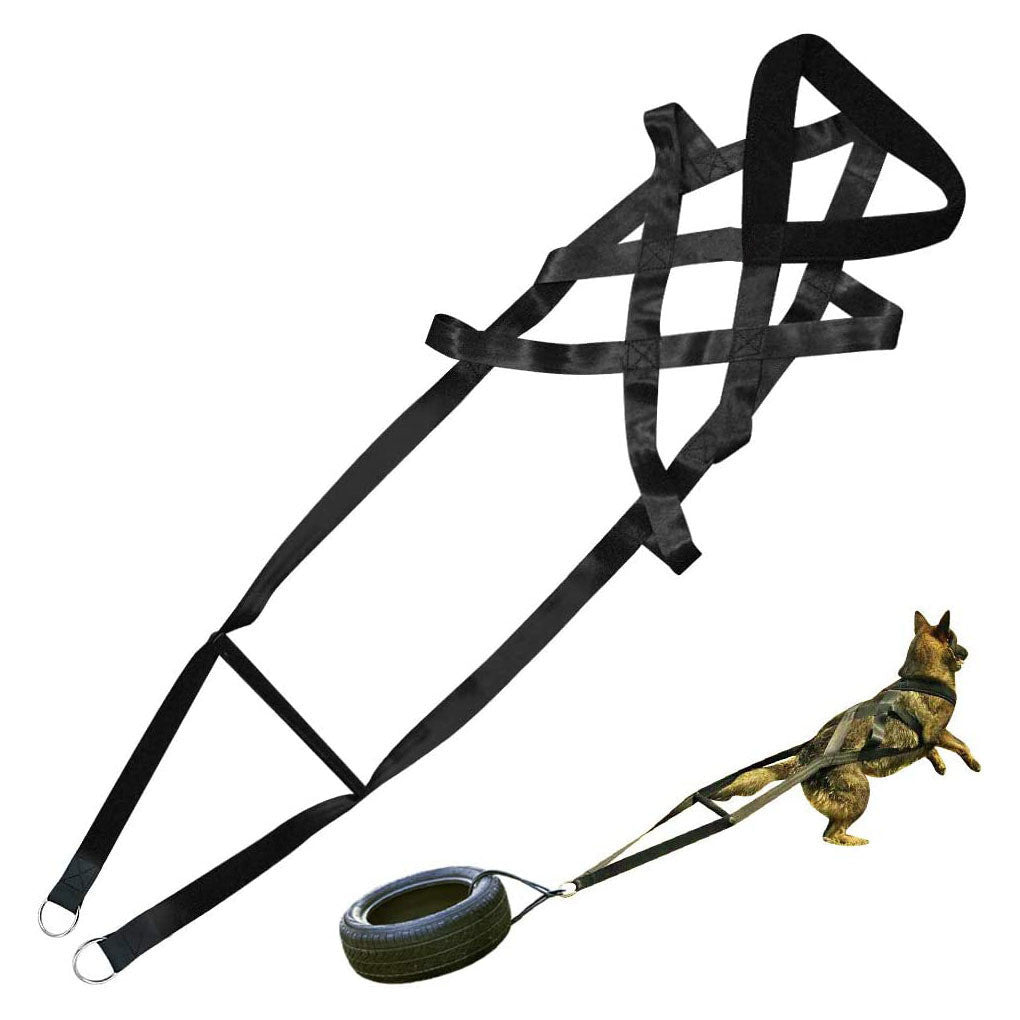 Heavy-Duty Dog Training Harness & Leash Set - No-Pull Chest Strap